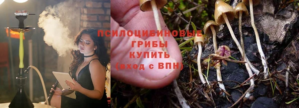 МДПВ Абдулино