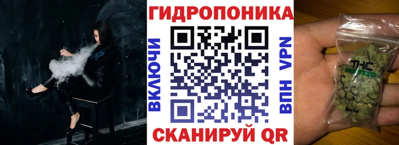 Бошки марихуана Amnesia  купить наркотик  Правдинск 
